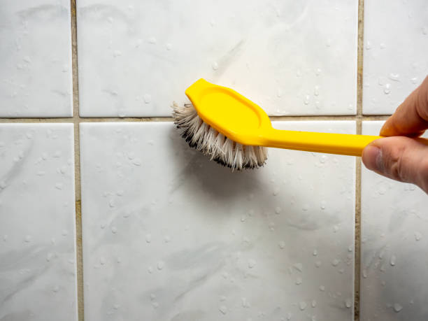 Best Toxic Mold Removal  in Wellington, TX